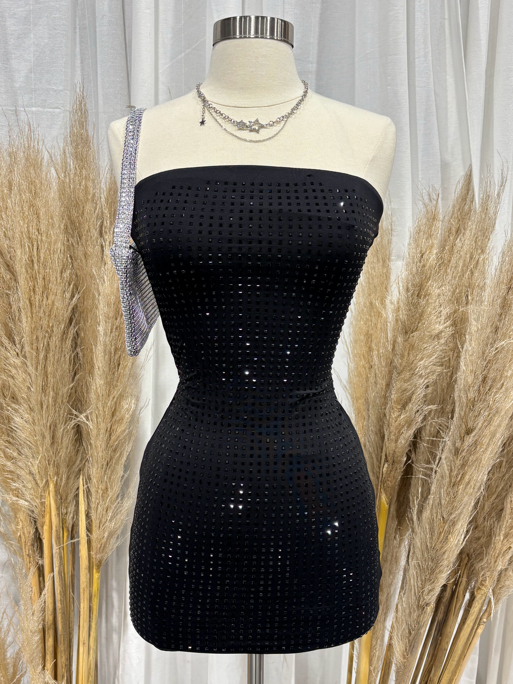 Capozzi Mini Dress (Black)