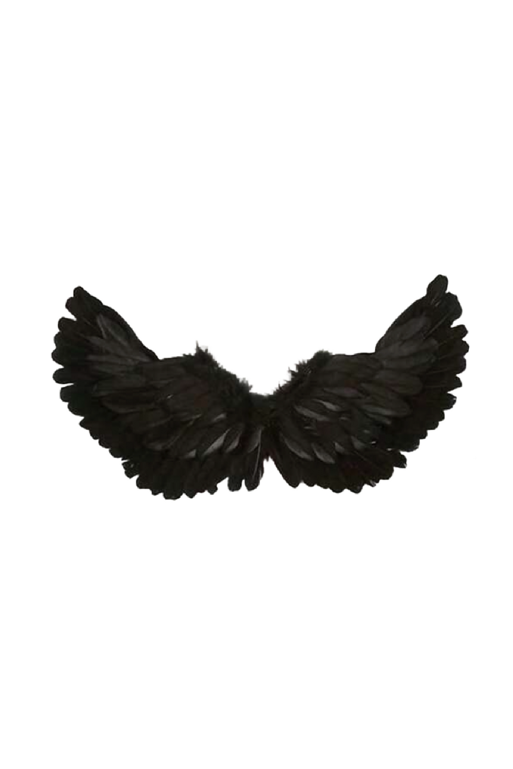 Angel Wings (3 Colors)