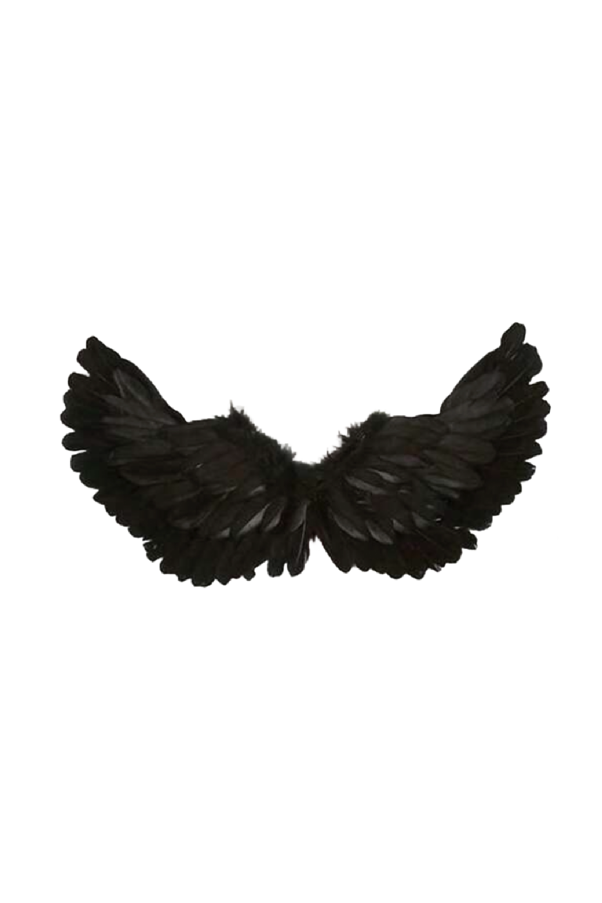 Angel Wings (3 Colors)