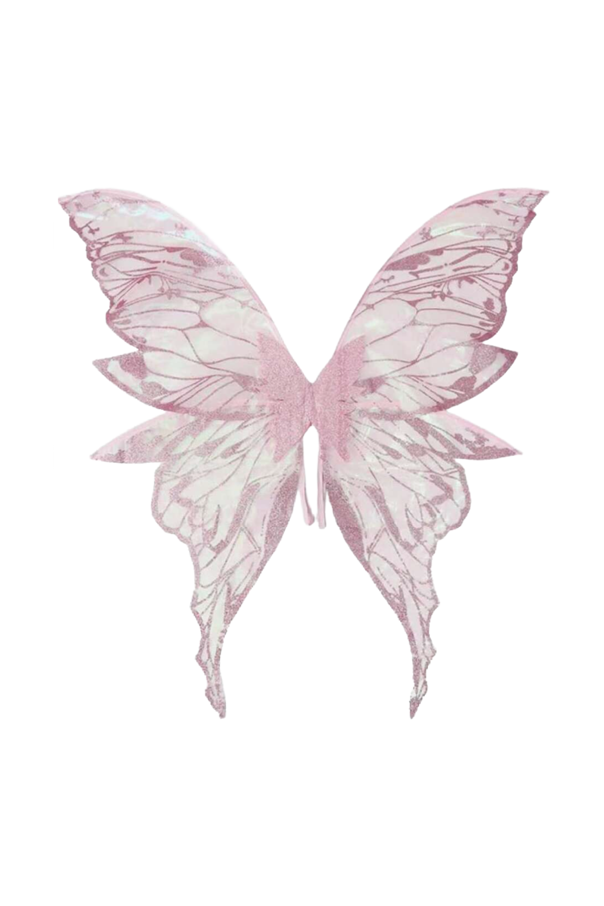 Fairy Wings (Pink)